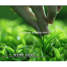 green tea weight loss slim fit tea without side effects from anhui,china